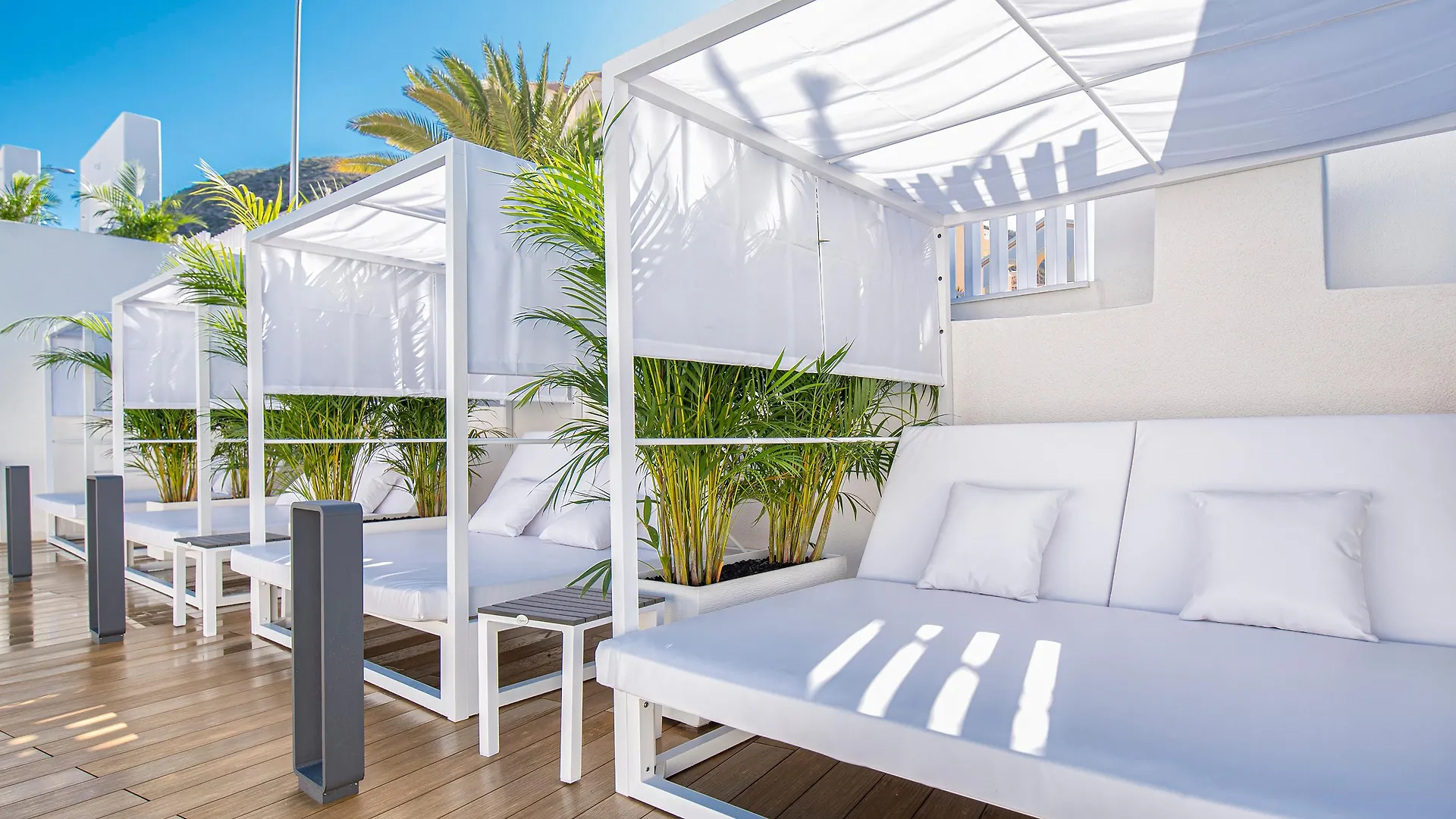 Ohasis Boutique Suites Arona  Arona (Tenerife)